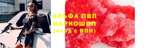 тгк Алзамай