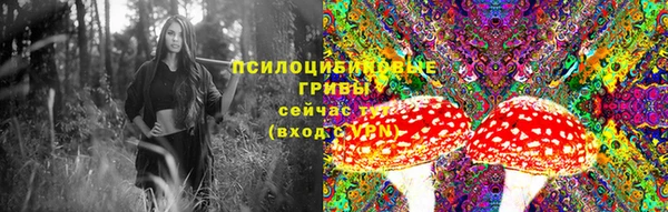 мяу мяу мука Алексин